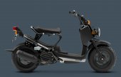 2010 Honda Ruckus photo
